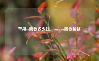 苹果se回收多少钱,iphone se回收价格