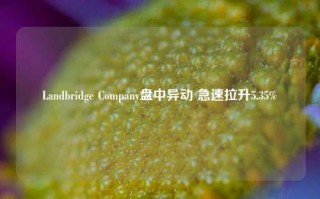 Landbridge Company盘中异动 急速拉升5.35%