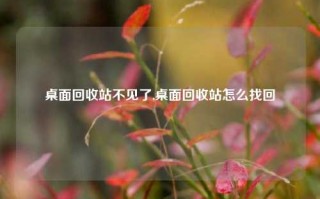 桌面回收站不见了,桌面回收站怎么找回