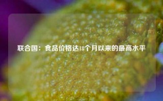 联合国：食品价格达18个月以来的最高水平