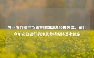 农业银行资产负债管理部副总经理汪洋：预计今年农业银行的净息差将保持基本稳定