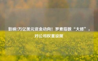 影响7万亿美元资金动向！罗素指数“大修”，对公司权重设限