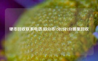 硬币回收联系电话,旧分币1分2分5分哪里回收