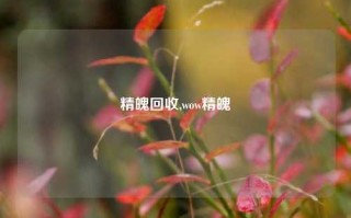 精魄回收,wow精魄