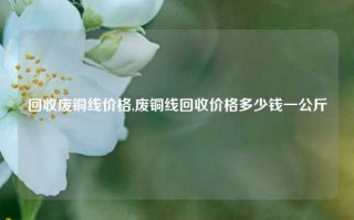 回收废铜线价格,废铜线回收价格多少钱一公斤