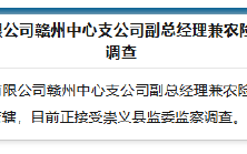 恒邦财险赣州中心支公司副总经理兼农险部经理曹屹被查