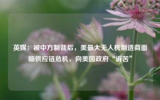 英媒：被中方制裁后，美最大无人机制造商面临供应链危机，向美国政府“诉苦”