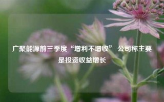 广聚能源前三季度“增利不增收” 公司称主要是投资收益增长