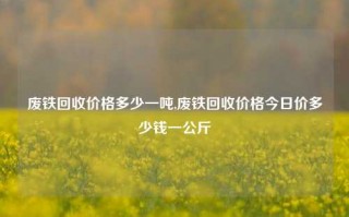 废铁回收价格多少一吨,废铁回收价格今日价多少钱一公斤