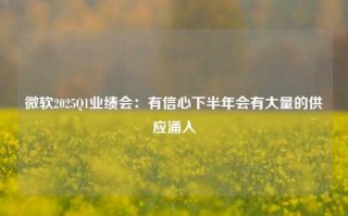 微软2025Q1业绩会：有信心下半年会有大量的供应涌入