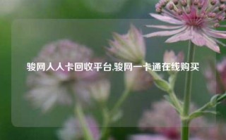 骏网人人卡回收平台,骏网一卡通在线购买