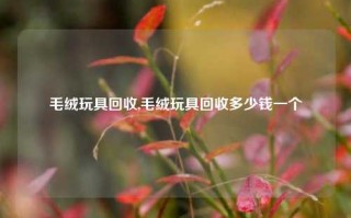 毛绒玩具回收,毛绒玩具回收多少钱一个