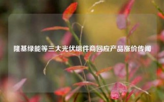 隆基绿能等三大光伏组件商回应产品涨价传闻