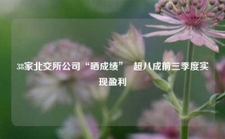 38家北交所公司“晒成绩”  超八成前三季度实现盈利