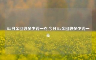 18k白金回收多少钱一克,今日18k金回收多少钱一克