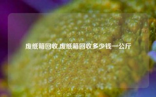 废纸箱回收,废纸箱回收多少钱一公斤