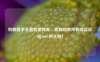 特朗普矛头直指墨西哥：威胁对其所有商品征收100%的关税！