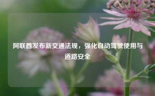 阿联酋发布新交通法规，强化自动驾驶使用与道路安全