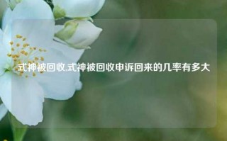 式神被回收,式神被回收申诉回来的几率有多大