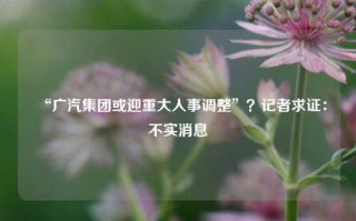 “广汽集团或迎重大人事调整”？记者求证：不实消息