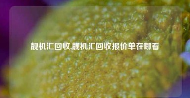 靓机汇回收,靓机汇回收报价单在哪看