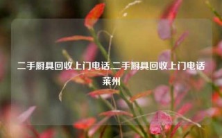 二手厨具回收上门电话,二手厨具回收上门电话莱州