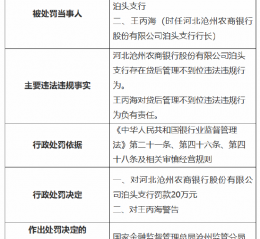 河北沧州农商银行泊头支行被罚20万元：因贷后管理不到位