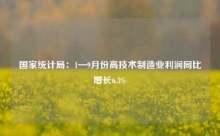 国家统计局：1—9月份高技术制造业利润同比增长6.3%