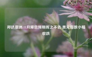 邦达亚洲:11月降息预期挥之不去 美元指数小幅收跌