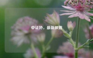 中证协，最新披露