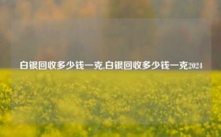 白银回收多少钱一克,白银回收多少钱一克2024