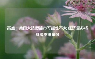 高盛：美国大选后熊市可能性不大 经济复苏将继续支撑美股