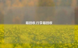 箱回收,行李箱回收