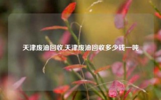 天津废油回收,天津废油回收多少钱一吨