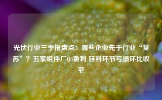 光伏行业三季报盘点：哪些企业先于行业“复苏”？五家组件厂Q3盈利 硅料环节亏损环比收窄