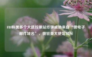 FBI称美多个大选投票站炸弹威胁来自“俄电子邮件域名”，俄驻美大使馆驳斥