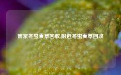 南京冬虫夏草回收,附近冬虫夏草回收