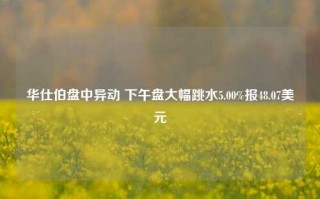 华仕伯盘中异动 下午盘大幅跳水5.00%报48.07美元