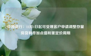 中国银行：11月1日起可受理客户申请调整存量房贷利率加点值和重定价周期