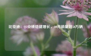 比亚迪：Q3业绩稳健增长，10月销量超50万辆