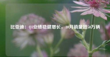 比亚迪：Q3业绩稳健增长，10月销量超50万辆