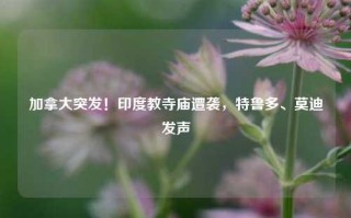 加拿大突发！印度教寺庙遭袭，特鲁多、莫迪发声