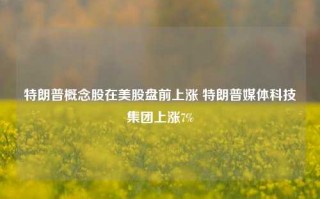 特朗普概念股在美股盘前上涨 特朗普媒体科技集团上涨7%