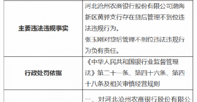 河北沧州农商银行渤海新区黄骅支行被罚20万元：因贷后管理不到位