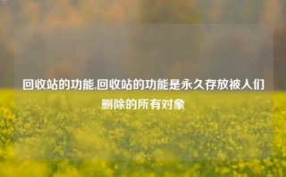 回收站的功能,回收站的功能是永久存放被人们删除的所有对象