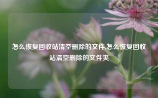 怎么恢复回收站清空删除的文件,怎么恢复回收站清空删除的文件夹