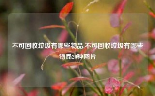 不可回收垃圾有哪些物品,不可回收垃圾有哪些物品20种图片