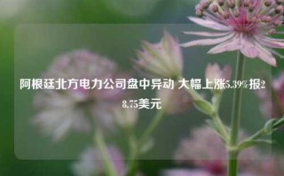 阿根廷北方电力公司盘中异动 大幅上涨5.39%报28.75美元