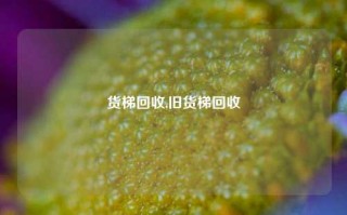 货梯回收,旧货梯回收