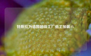 特斯拉为德国超级工厂员工加薪4%